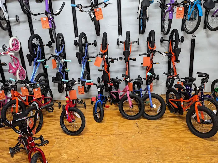 Matthews Bicycle Mart Inc Picture 1
