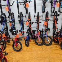 Matthews Bicycle Mart Inc ico