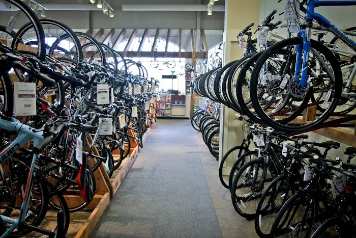 Bicycle Garage Indy & BGI Fitness - Greenwood Picture 5