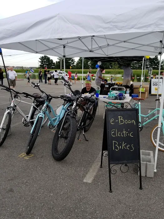 eBoom Electric Bikes Picture 10