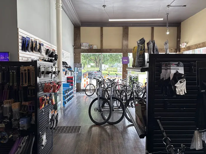 Family Bike Chain Picture 4