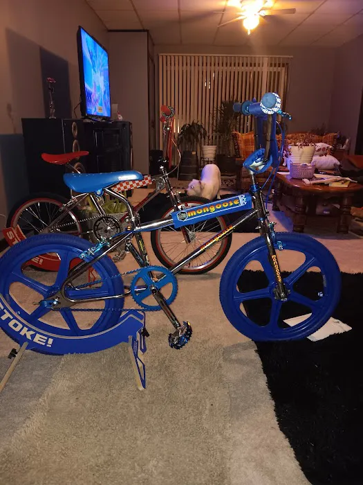 Family Bike Chain Picture 3