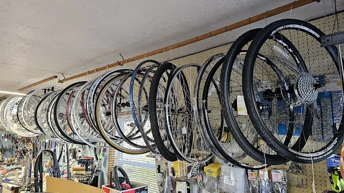 Recycle Shop Picture 5