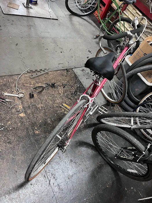 Hardin's Bicycle Shop Picture 8