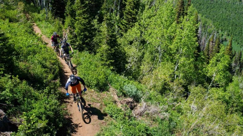 Top 7 Mountain Biking Destinations in the US: The Best Trails for Thrill Seekers