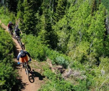Top 7 Mountain Biking Destinations in the US: The Best Trails for Thrill Seekers