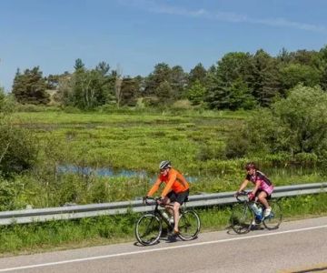 What is a Bicycle Touring Route Network? Explore Scenic Cycling Adventures