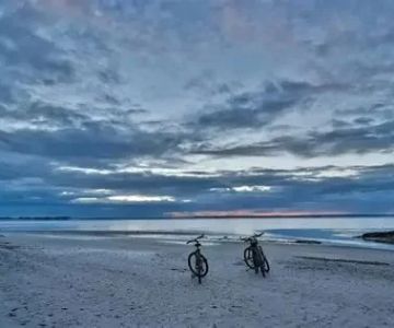 The Most Scenic Coastal Bike Trails in America: Best Routes for Cycling Enthusiasts