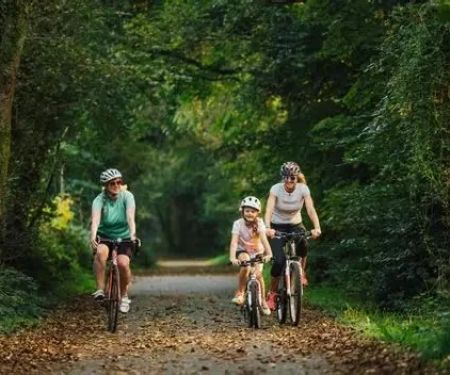 Cycling in National Forests: Essential Rules and Tips for a Safe Adventure