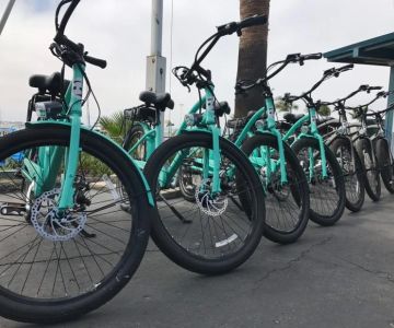 Best Places to Rent Bikes in Major U.S. Cities for an Unforgettable Cycling Experience