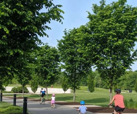 Best Family-Friendly Bike Trails in National Parks Across the U.S.