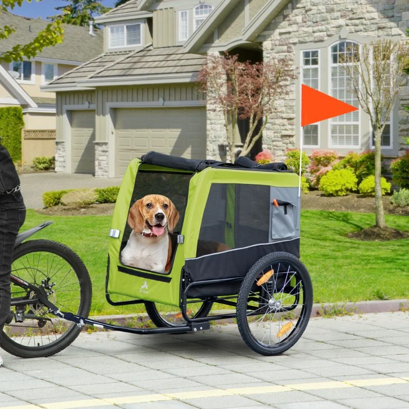 How to Ride with Pets: Dog Trailers, Safety, Rules