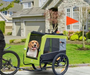 How to Ride with Pets: Dog Trailers, Safety, Rules