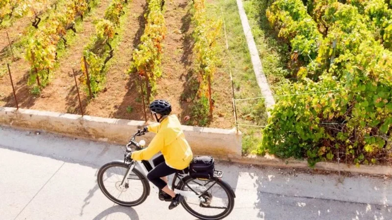 Best Travel Insurance Options for Overseas Bike Tours