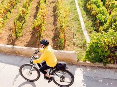Best Travel Insurance Options for Overseas Bike Tours