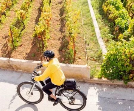 Best Travel Insurance Options for Overseas Bike Tours