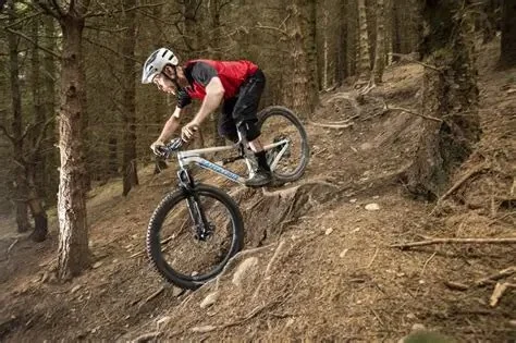 How to Ride a Steep Downhill Without Burning Out Brakes