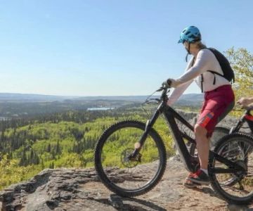 Why Your Bike Feels Sluggish: Common Drivetrain and Wheel Issues