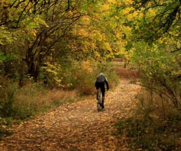 How to Find Hidden Local Trails You Didn’t Know Existed