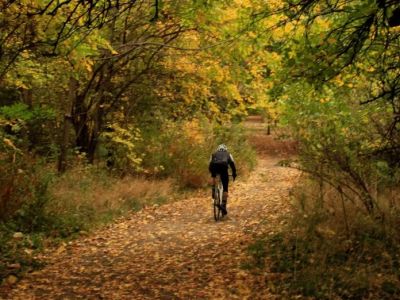 How to Find Hidden Local Trails You Didn’t Know Existed