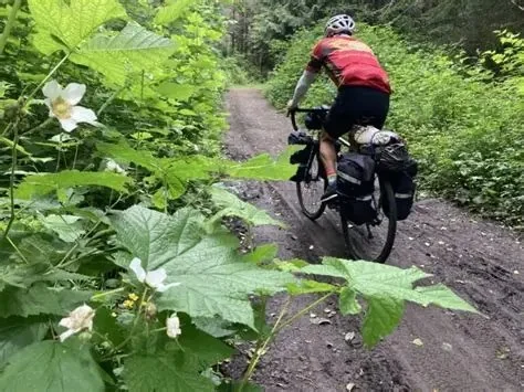 Best Bikepacking Routes in the Pacific Northwest for Adventure Seekers