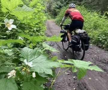 Best Bikepacking Routes in the Pacific Northwest for Adventure Seekers